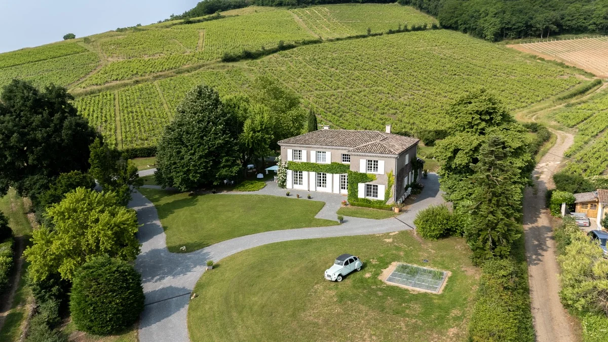 Blick über die Mont-Brouilly-Weinberge vom Wanderweg