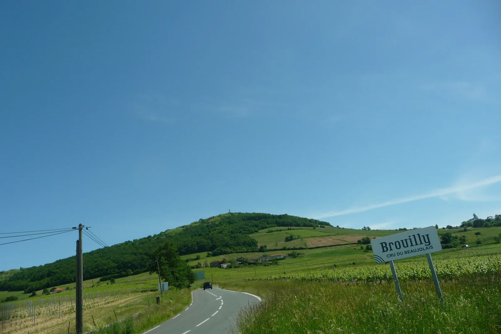 Panorama des vignobles du Beaujolais depuis le Mont Brouilly