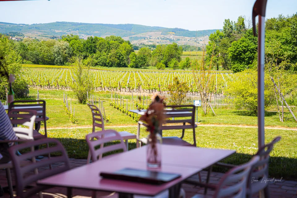 Terrasse de La Robe Rouge avec vue sur les vignobles de Villié-Morgon