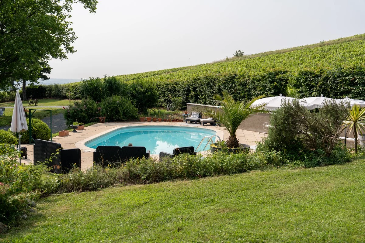 Le parc de la Villa Saint-Lager et ses arbres centenaires