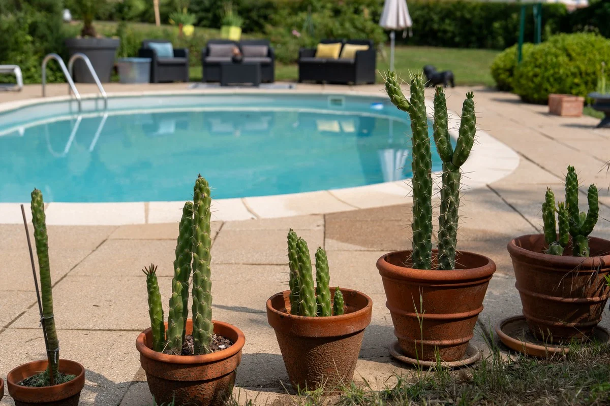 La piscine et sa terrasse en bois, entourées de verdure