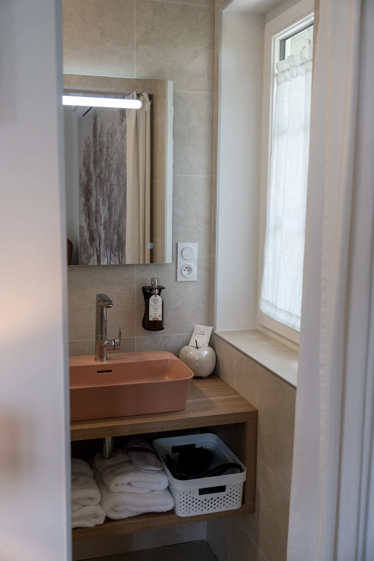 Chambre Mont Blanc — vasque et rangements de la salle de bain