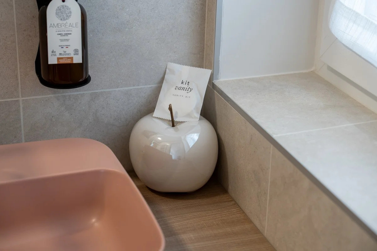 Chambre Mont Blanc — douche à l'italienne de la salle de bain privative