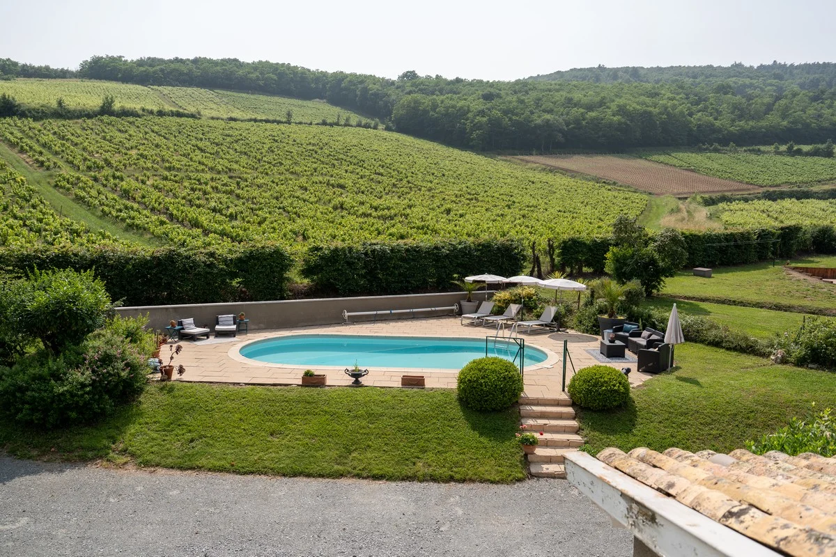 Perspective sur la piscine et le jardin paysager