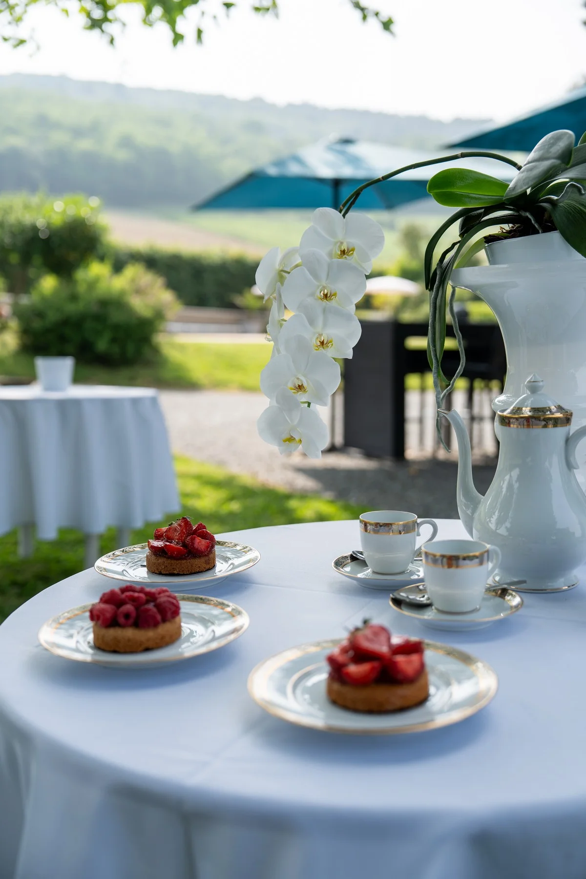 Ambiance chaleureuse autour de la table du petit-déjeuner