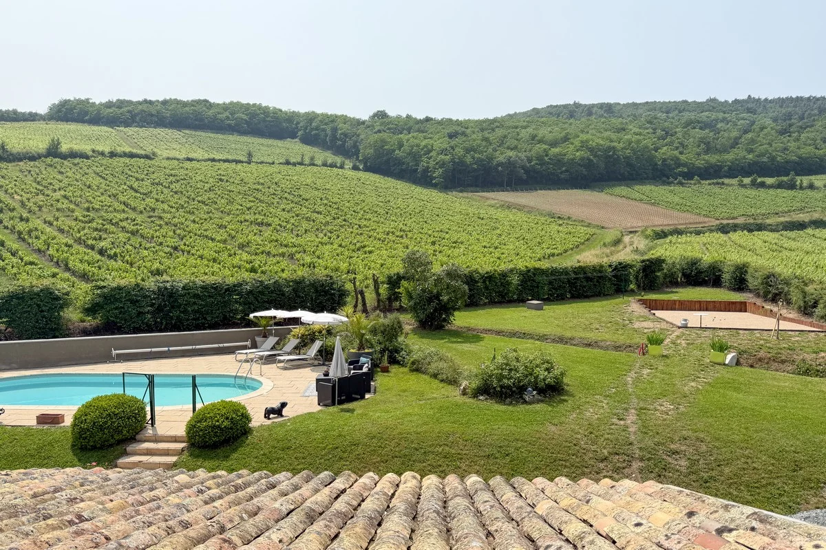 Panorama sur les coteaux et vignes du Beaujolais
